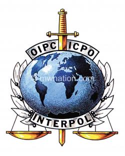 ¿Qué es Interpol?