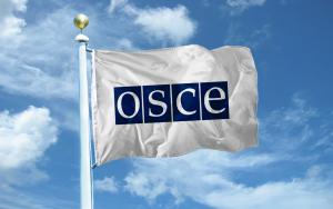 Que es la OSCE
